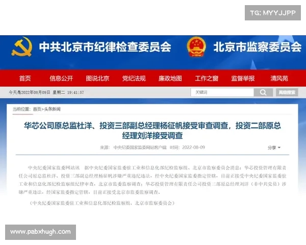 董事长芯片梦想破灭:投资,后因元欠款面临破产危机(芯片企业爆雷) 董事长芯片梦想破灭:投资,后因元欠款面临破产危机(芯片企业爆雷)